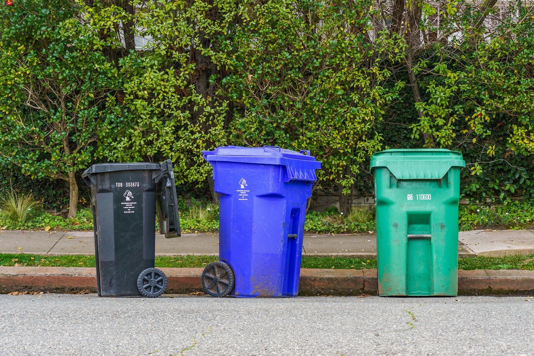 Bin Cleaning